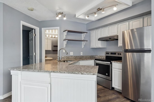 5250 S Huron Way Unit 1-204, Littleton, CO 80120 - kitchen with stainless steel appliances, a sink, under cabinet range hood, a peninsula, and dark wood-type flooring