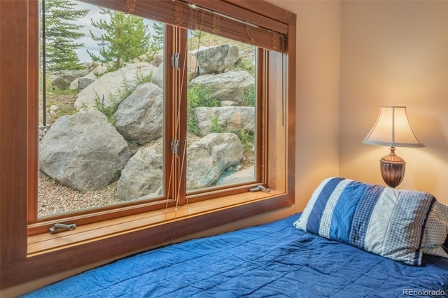504 Ravenwood Dr Unit B1, Grand Lake, CO 80447 - photo 20