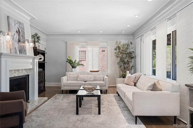 living room featuring a healthy amount of sunlight, a premium fireplace, and wood-type flooring