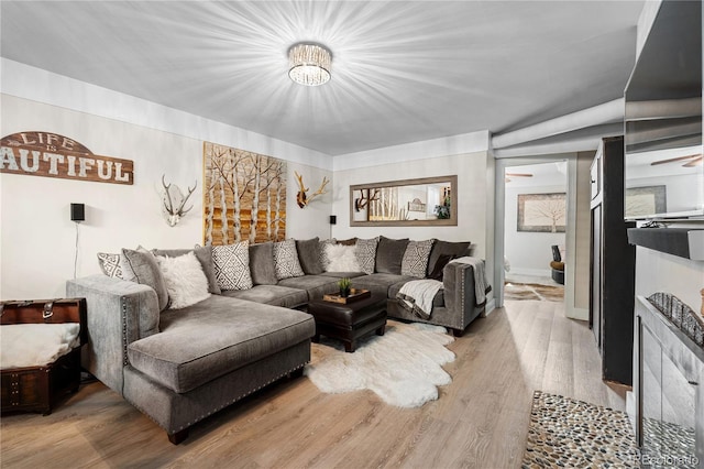 living room featuring light hardwood / wood-style flooring