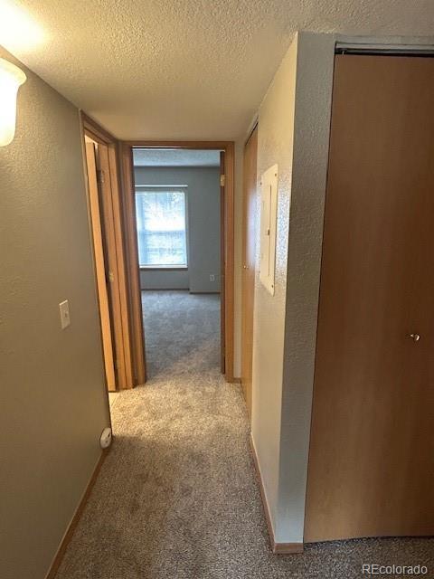 hall with baseboards, a textured wall, carpet flooring, and a textured ceiling