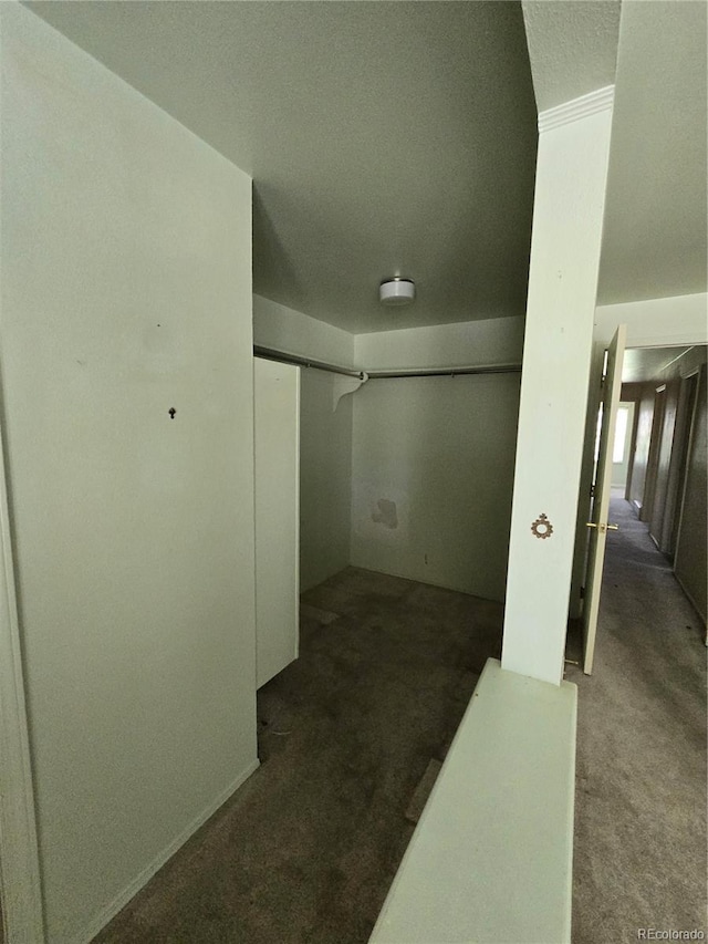 7037 S Newland St, Littleton, CO 80128 - photo 13