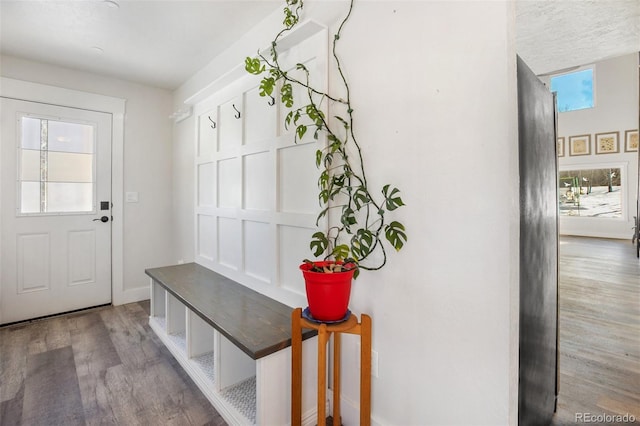 mudroom featuring a healthy amount of sunlight and wood-type flooring