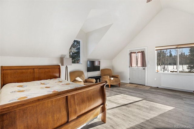 bedroom featuring radiator heating unit and vaulted ceiling