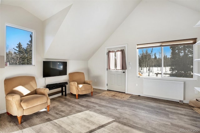 living area with a wealth of natural light, vaulted ceiling, and radiator