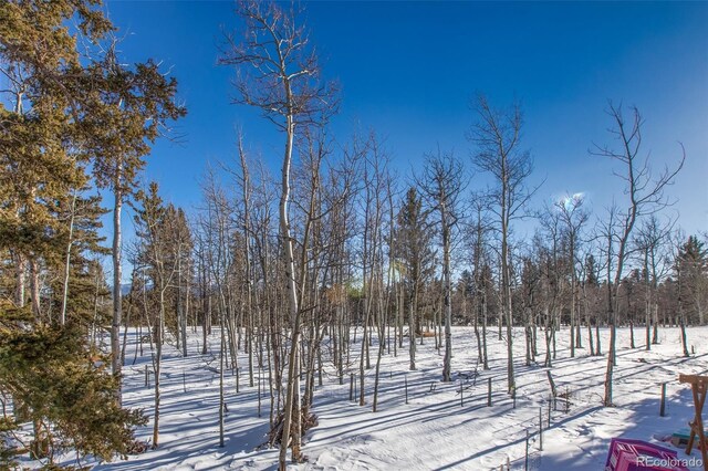 view of yard layered in snow