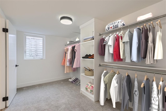 spacious closet featuring carpet floors