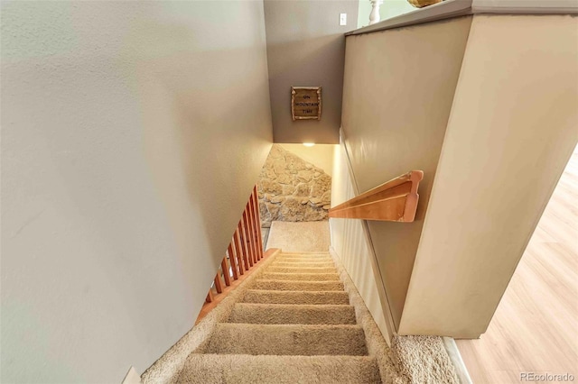 162 Pine Trl, Bailey, CO 80421 - view of stairs