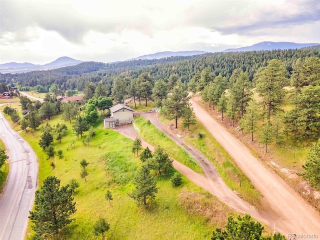 162 Pine Trl, Bailey, CO 80421 - aerial view of a forest and a mountainous background