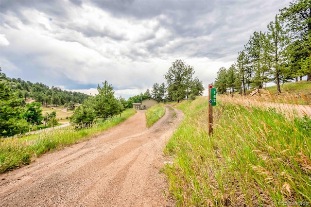 162 Pine Trl, Bailey, CO 80421 - view of dirt / gravel road