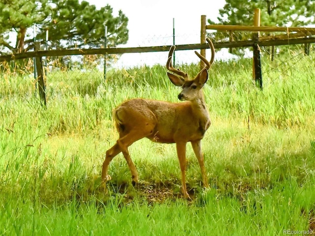 162 Pine Trl, Bailey, CO 80421 - exterior view