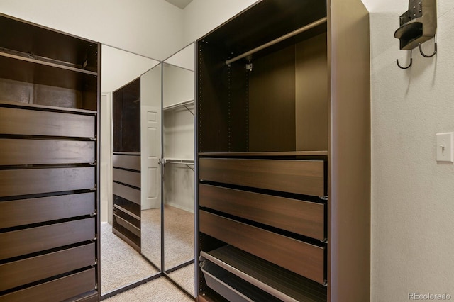 spacious closet with light carpet