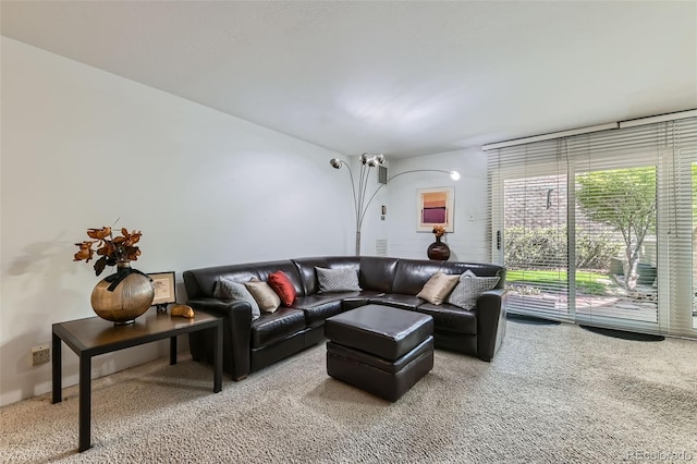 460 S Marion Pkwy Unit 102, Denver, CO 80209 - view of carpeted living room