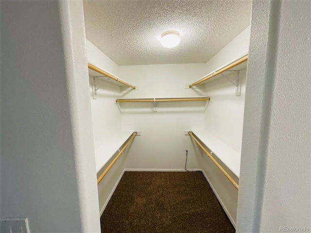 spacious closet featuring carpet