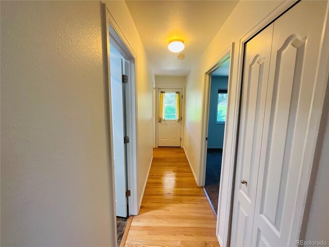 hall with light hardwood / wood-style flooring