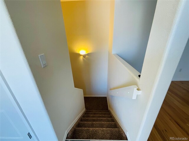 staircase with dark colored carpet