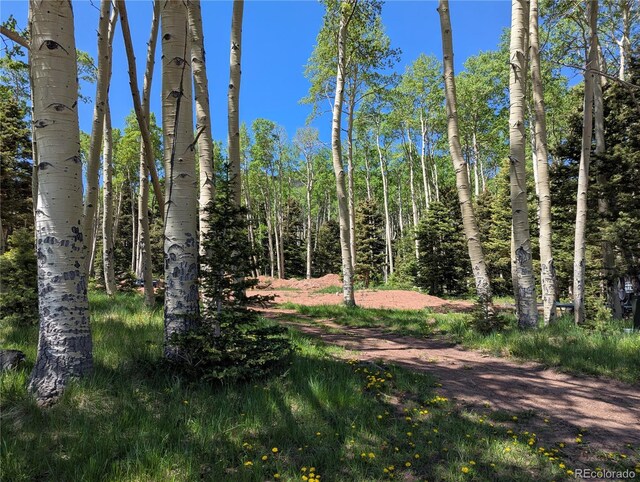 3082 Henderson Dr, Fort Garland, CO 81133 - photo 1