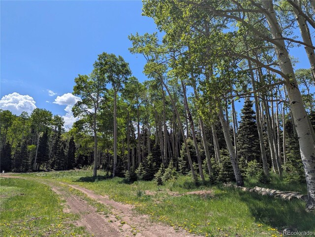 3082 Henderson Dr, Fort Garland, CO 81133 - photo 3