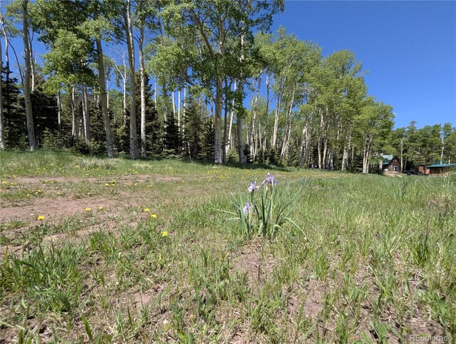 3082 Henderson Dr, Fort Garland, CO 81133 - photo 6