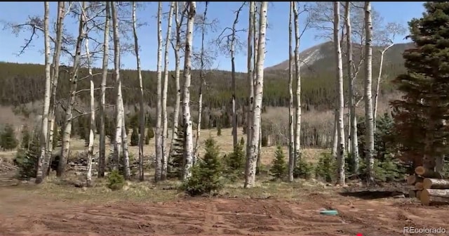 3082 Henderson Dr, Fort Garland, CO 81133 - photo 12