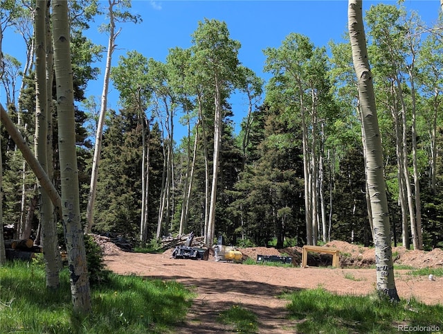 3082 Henderson Dr, Fort Garland, CO 81133 - photo 2