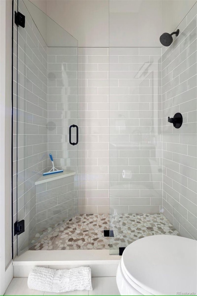 387 Bear Trl, Winter Park, CO 80482 - bathroom featuring a stall shower and toilet