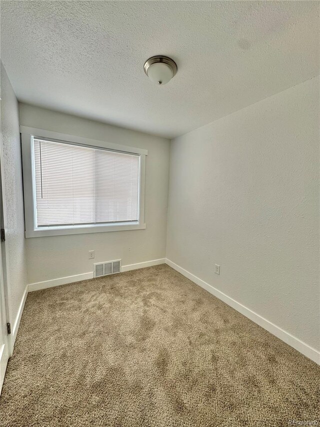 carpeted spare room with plenty of natural light, a textured ceiling, and baseboards