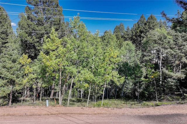 Listing photo 3 for 282 Pinon Lake Dr, Divide CO 80814