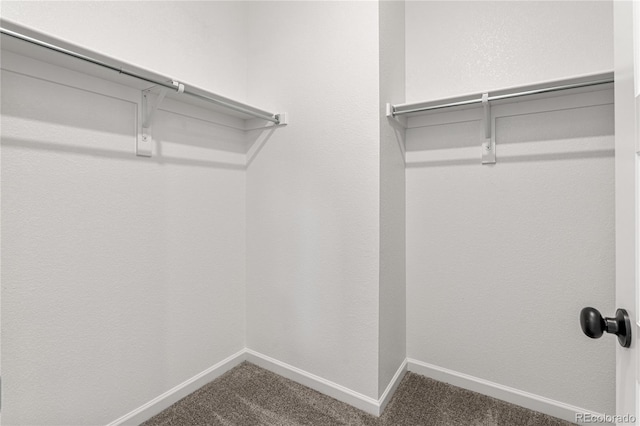 9314 Quartz St, Arvada, CO 80007 - walk in closet with carpet floors
