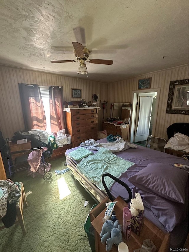 804 Phay Ave, Canon City, CO 81212 - photo 9