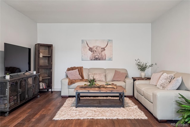 31607 Broadmoor Dr, Evergreen, CO 80439 - living area with wood finished floors