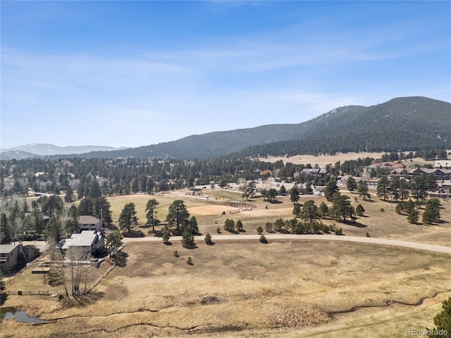 31607 Broadmoor Dr, Evergreen, CO 80439 - mountain view