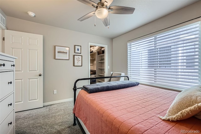 carpeted bedroom with ceiling fan, baseboards, and a spacious closet