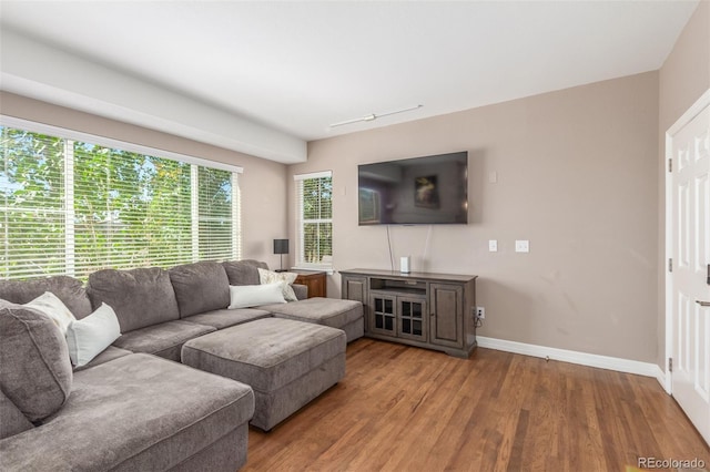 living room with wood-type flooring