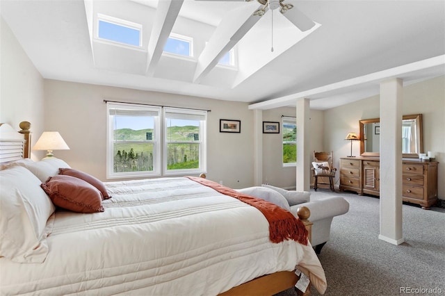 116 County Road 414, Granby, CO 80446 - carpeted bedroom with a skylight and lofted ceiling