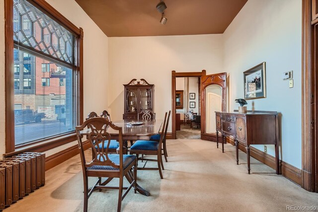 dining room featuring radiator heating unit, light colored carpet, and track lighting