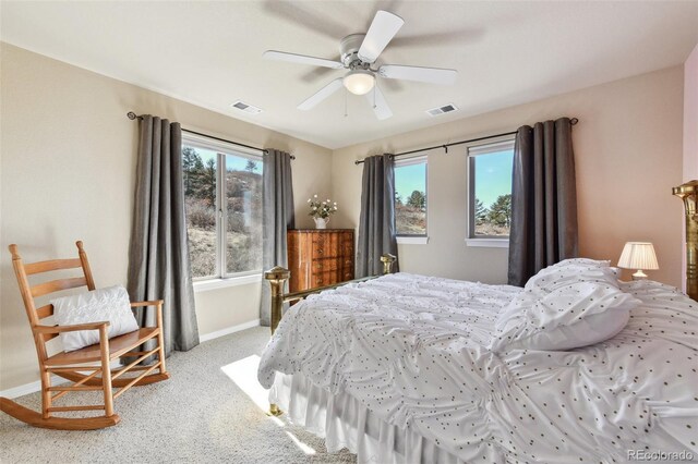2116 Ridgetrail Dr, Castle Rock, CO 80104 - photo 24