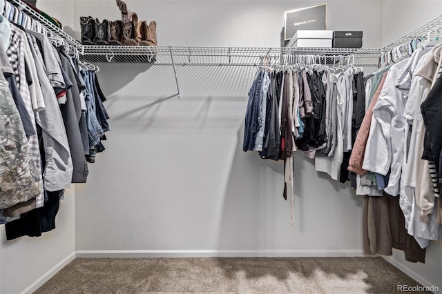 walk in closet featuring carpet flooring