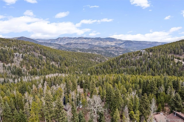 356 Castlewood Dr, Evergreen, CO 80439 - photo 7