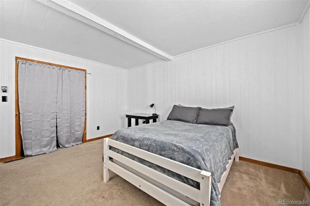 356 Castlewood Dr, Evergreen, CO 80439 - photo 28