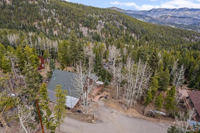 356 Castlewood Dr, Evergreen, CO 80439 - photo 46