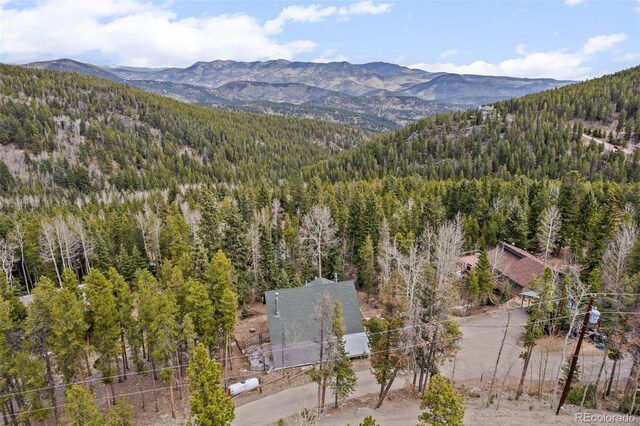356 Castlewood Dr, Evergreen, CO 80439 - photo 47