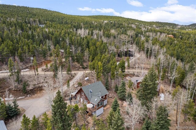356 Castlewood Dr, Evergreen, CO 80439 - photo 49