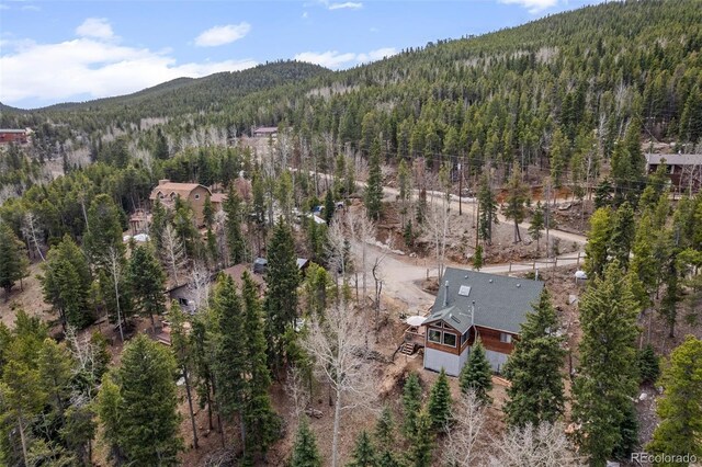 356 Castlewood Dr, Evergreen, CO 80439 - photo 50