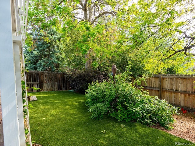 8908 Jellison Ct, Westminster, CO 80021 - view of yard