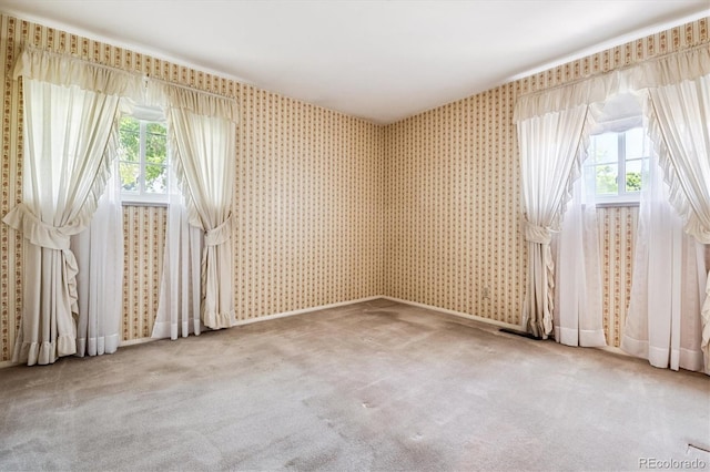 7129 S Marshall St, Littleton, CO 80128 - carpeted empty room with wallpapered walls and plenty of natural light
