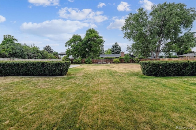 7129 S Marshall St, Littleton, CO 80128 - view of yard