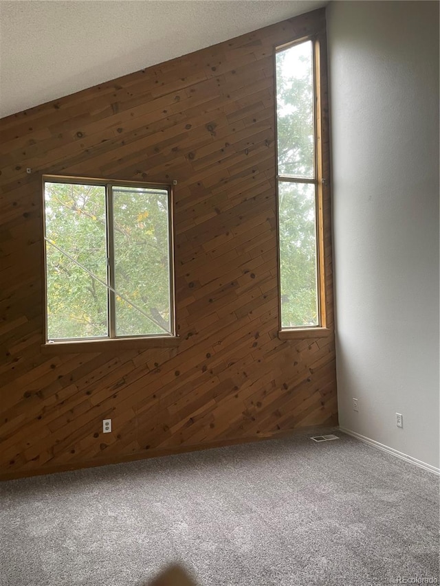 unfurnished room featuring carpet floors and wooden walls