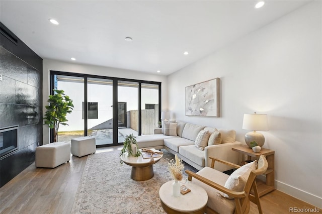 living room featuring a fireplace and light hardwood / wood-style floors