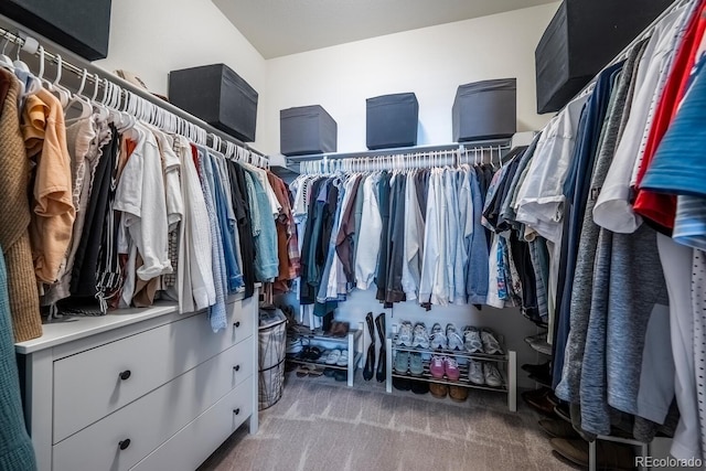 spacious closet with carpet flooring